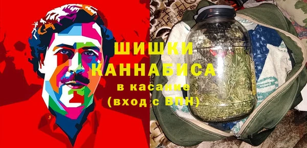 Альфа ПВП Верея