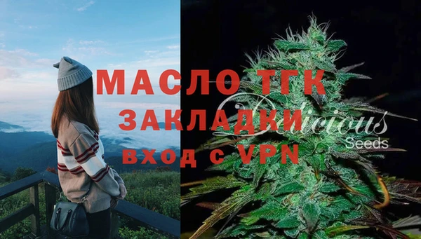 Альфа ПВП Верея