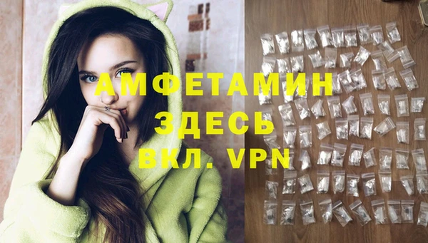 Альфа ПВП Верея