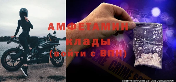 Альфа ПВП Верея