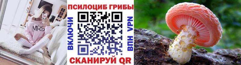 Псилоцибиновые грибы Psilocybe  Карабаново 